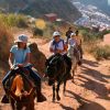horsesreading-cusco-2