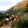 horsesreading-cusco-3